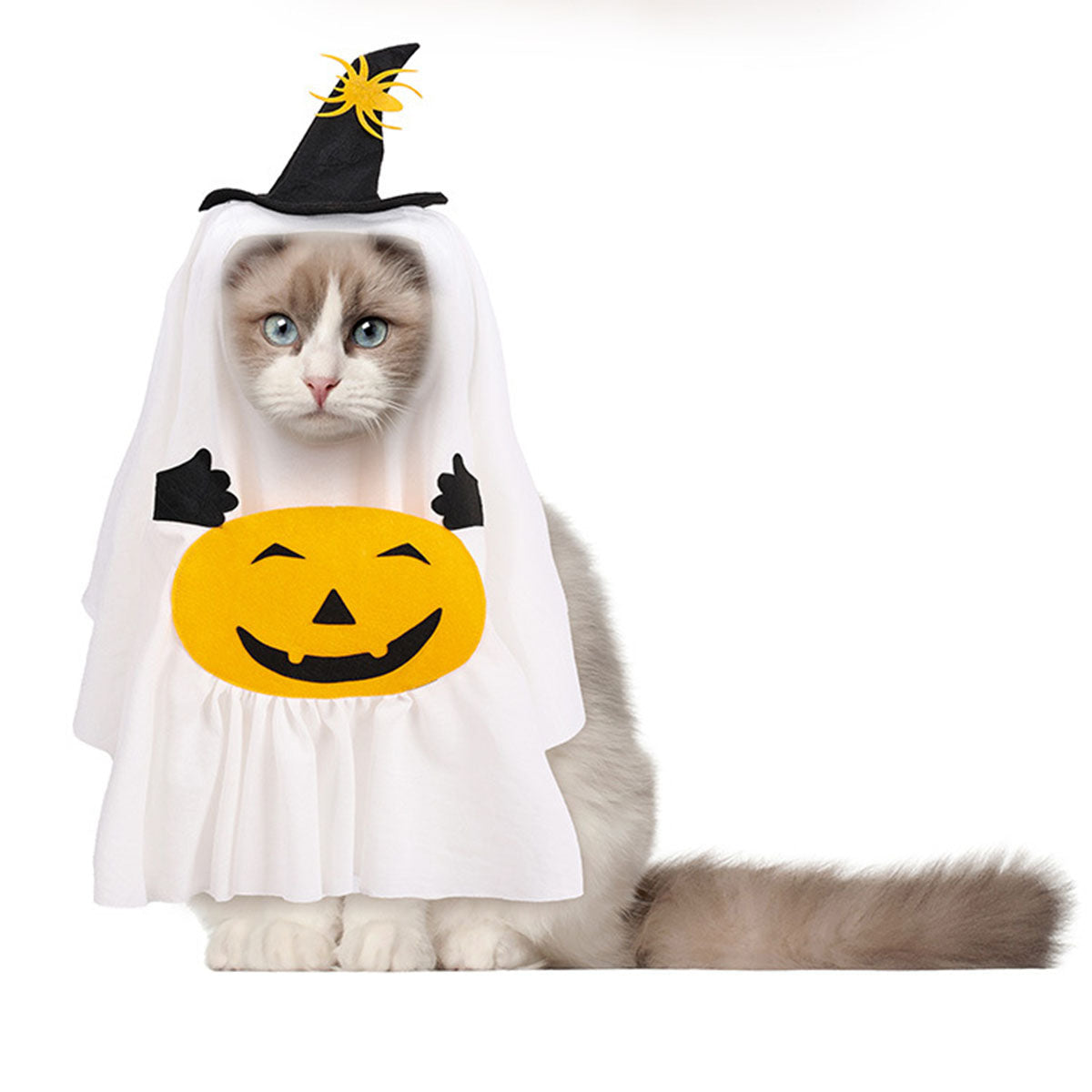 Halloween Ghost Pumpkin Pet Costume