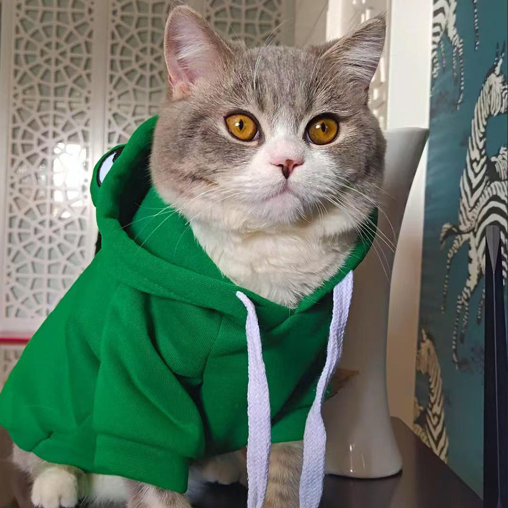 Frog Halloween Pet Costume