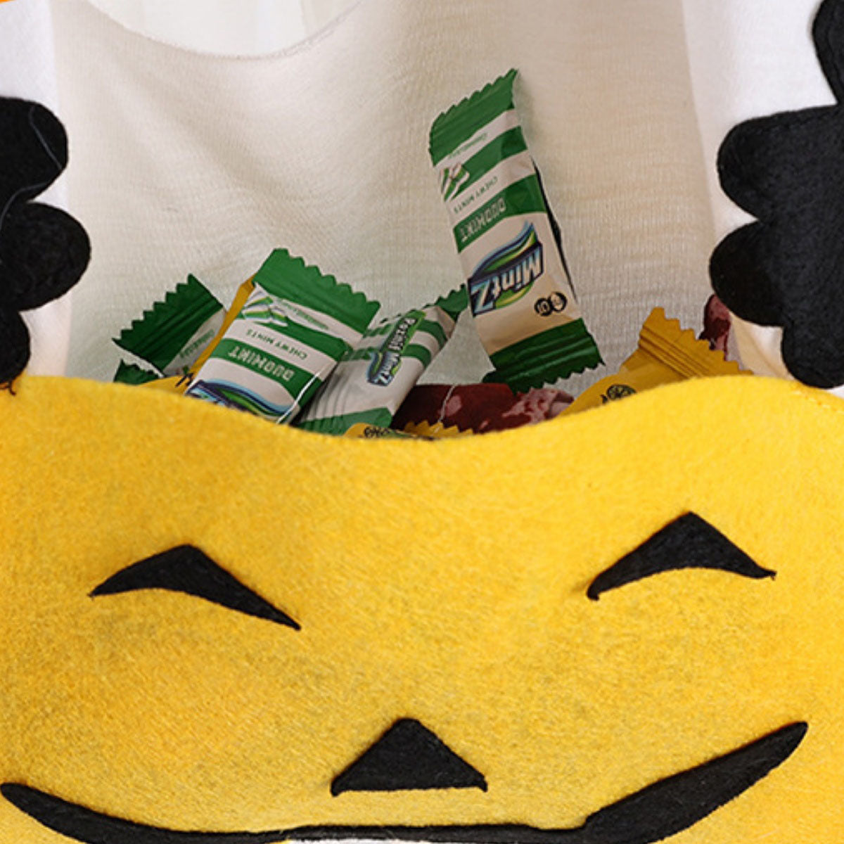 Halloween Ghost Pumpkin Pet Costume