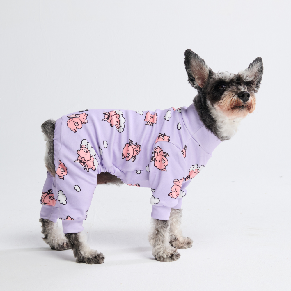 Dog Pajama - When Pigs Fly
