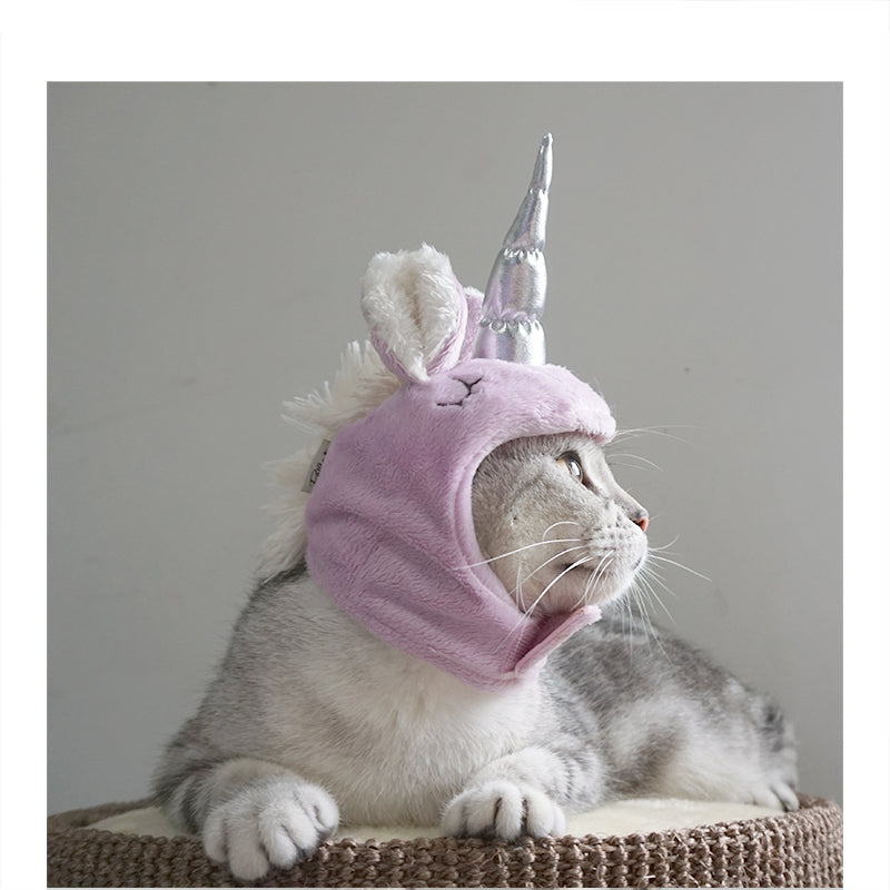 Halloween Pet Hat