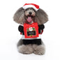Funny Standing Dog Costume
