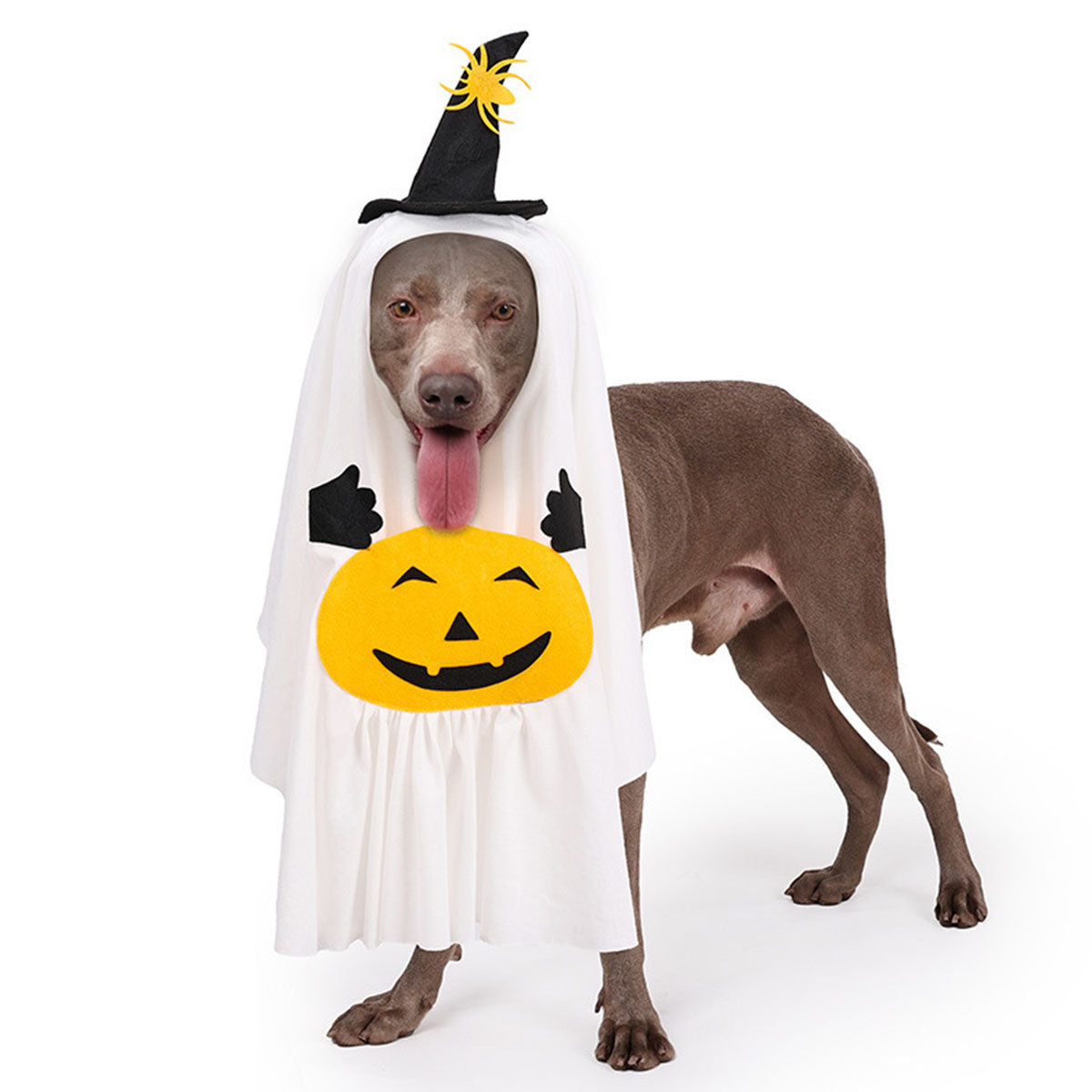Halloween Ghost Pumpkin Pet Costume