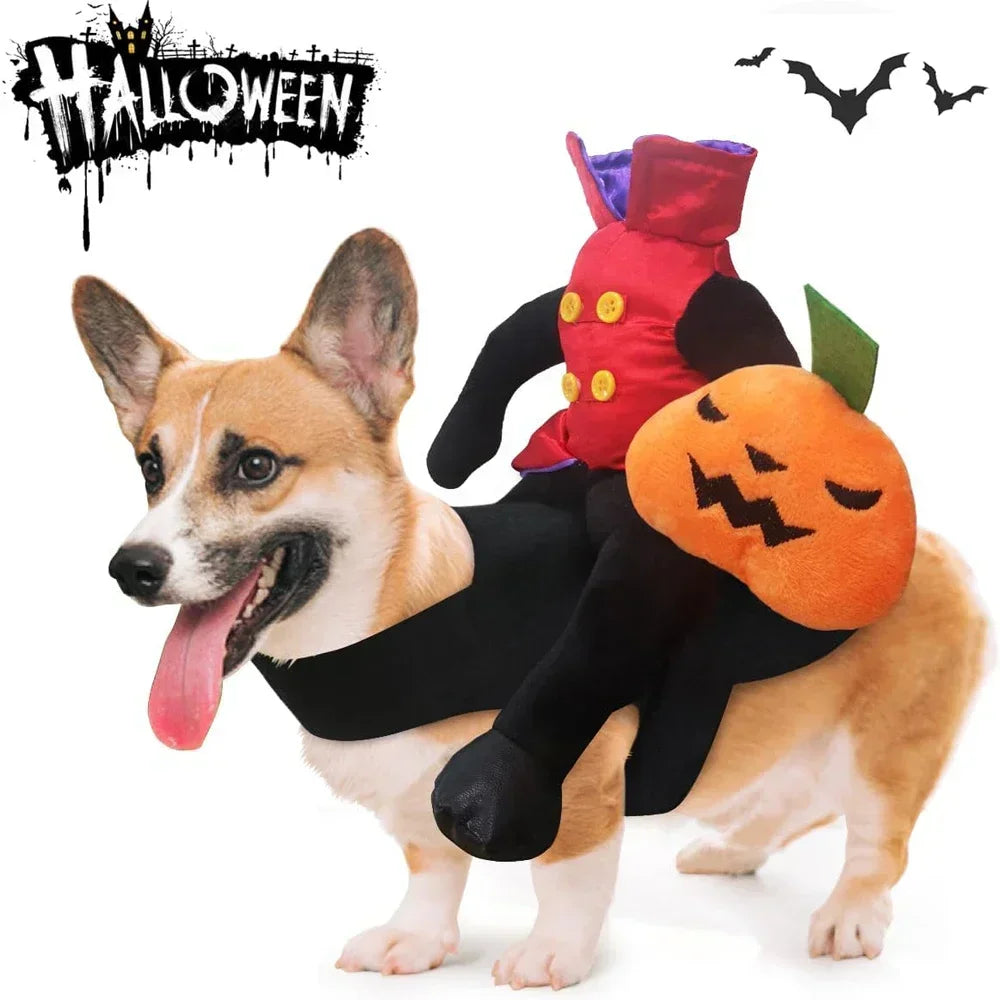 Horse Riding Pumpkin | Halloween Costume for Dogs & Cats | SвЂ“XL