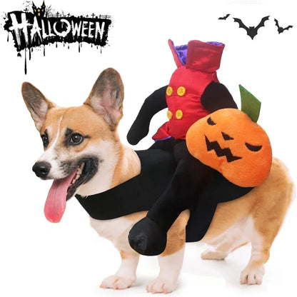 Horse Riding Pumpkin | Halloween Costume for Dogs & Cats | SвЂ“XL