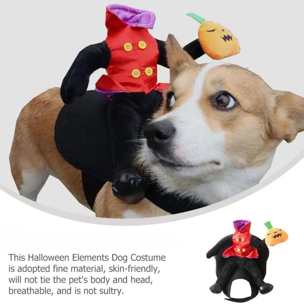 Horse Riding Pumpkin | Halloween Costume for Dogs & Cats | SвЂ“XL