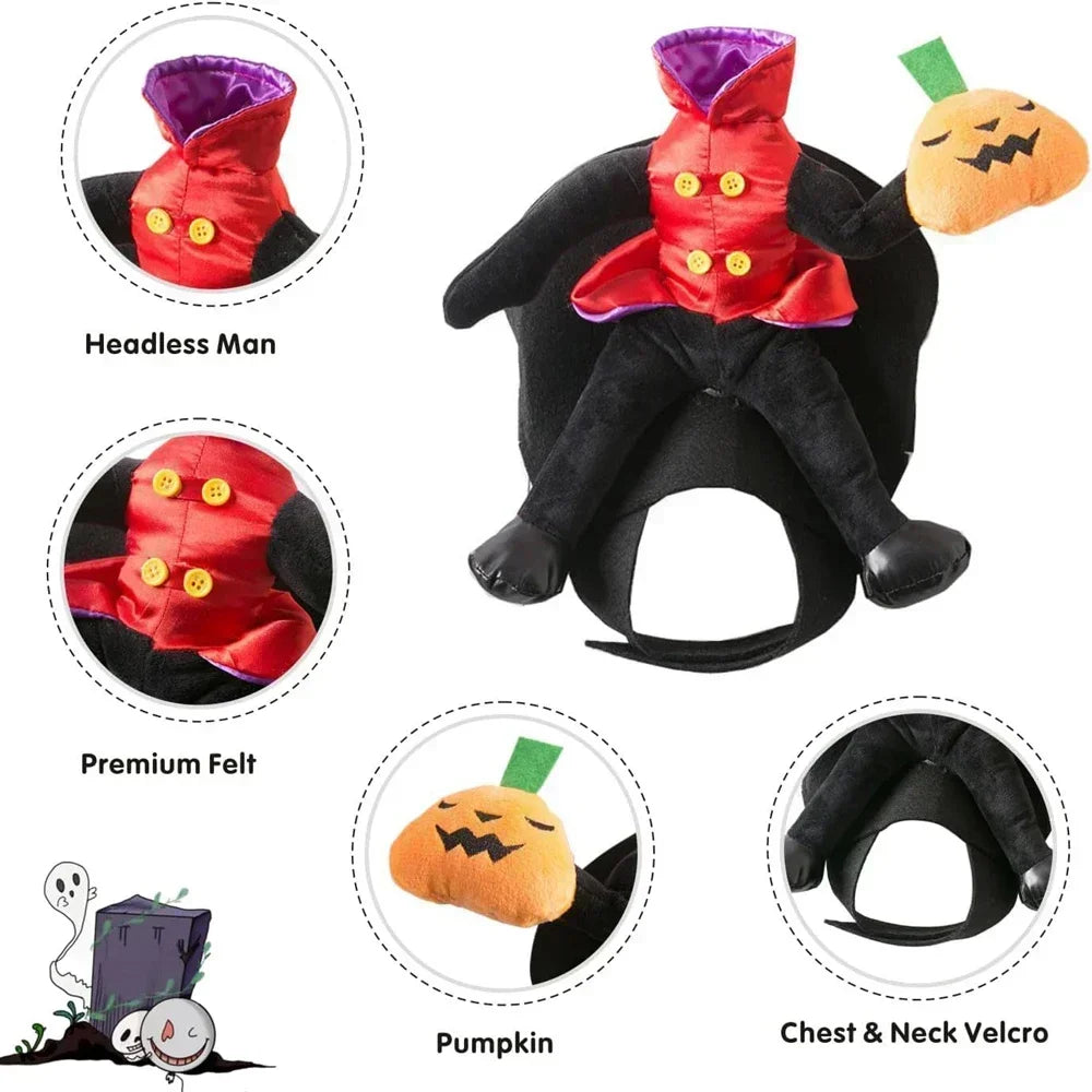 Horse Riding Pumpkin | Halloween Costume for Dogs & Cats | SвЂ“XL