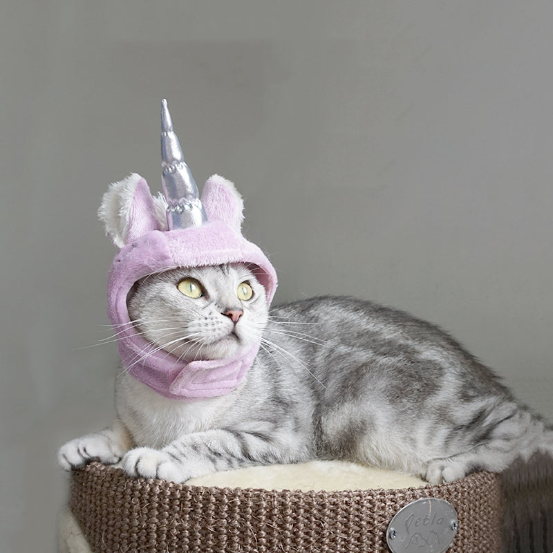 Halloween Pet Hat