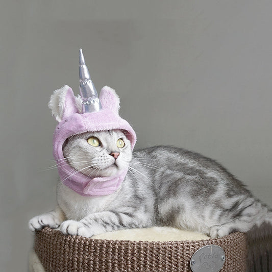 Halloween Pet Hat