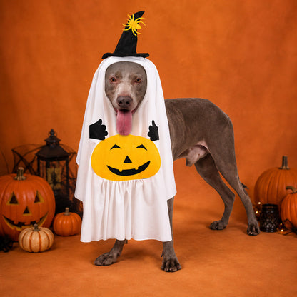 Halloween Ghost Pumpkin Pet Costume