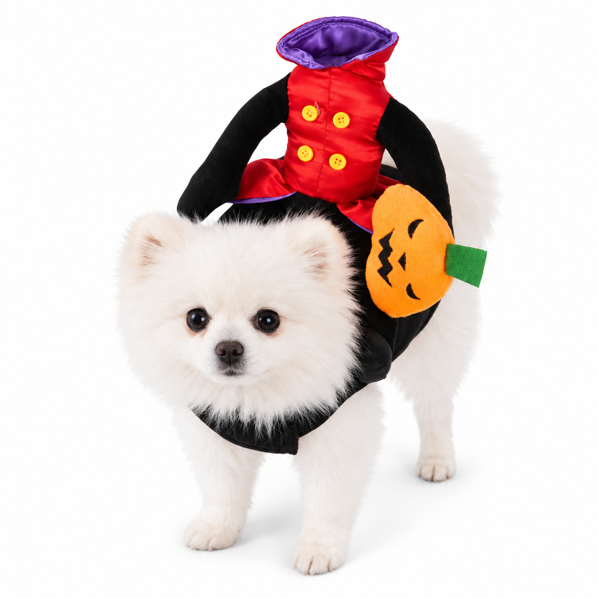 Horse Riding Pumpkin | Halloween Costume for Dogs & Cats | SвЂ“XL