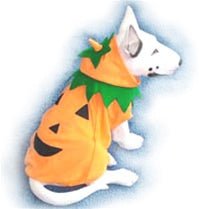 Pumpkin Costume